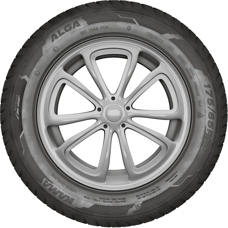 KAMA ALGA (НК-531) нешип в Томари — KAMA TYRES KAMA ALGA (НК-531) нешип в Томари